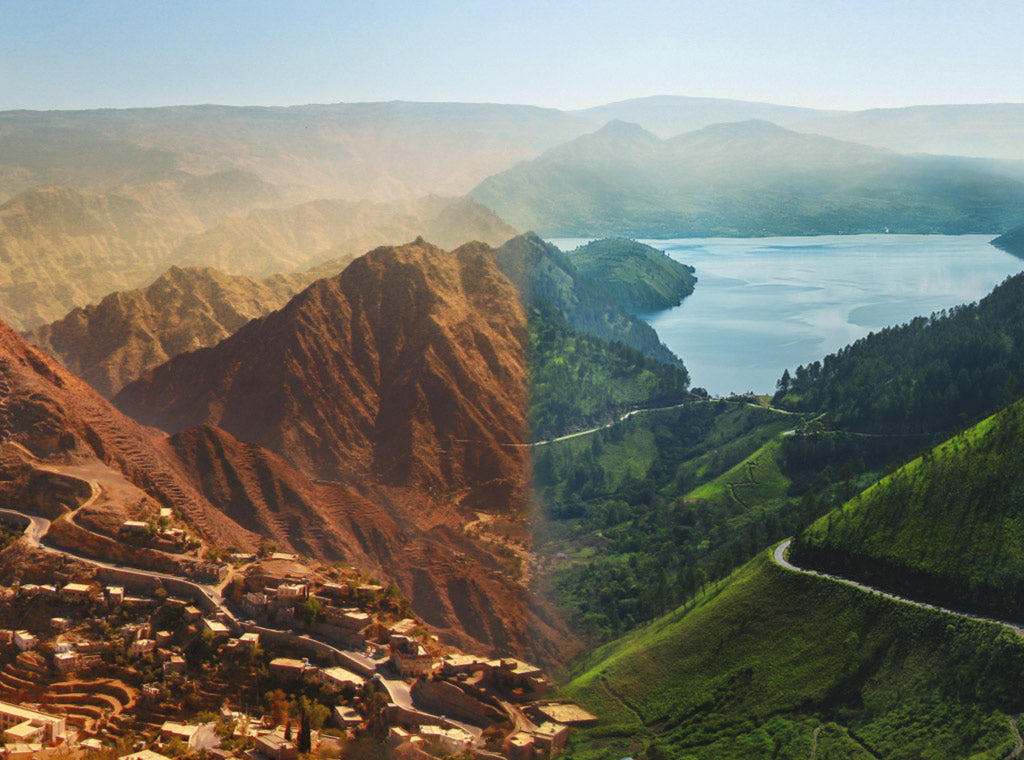 Peet's Limited Release Coffee Moka Batak Blend comes from two of the most extreme coffee growing regions on earth.